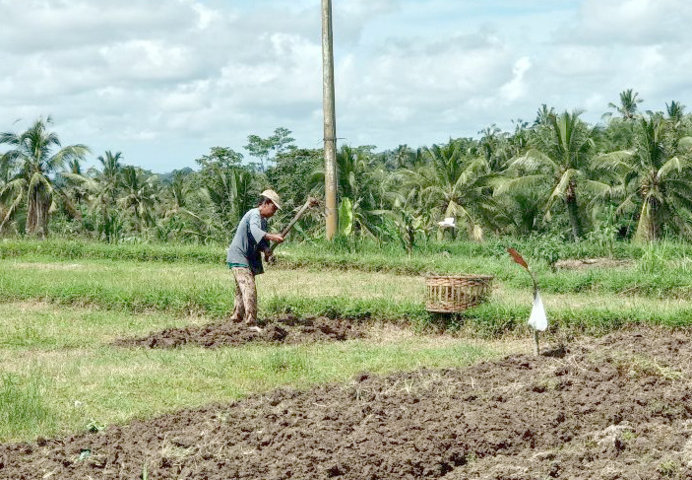petani