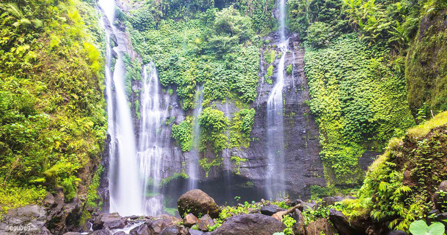 wisatawan