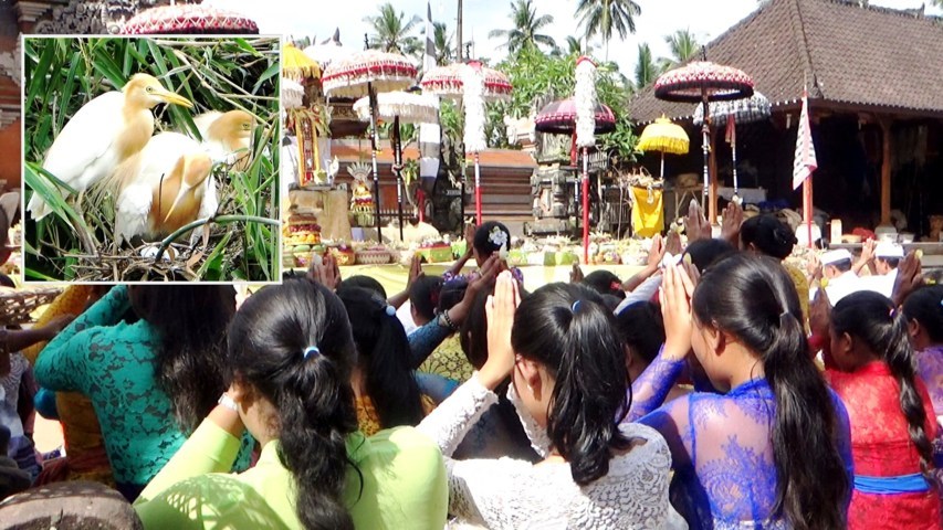 persembahan