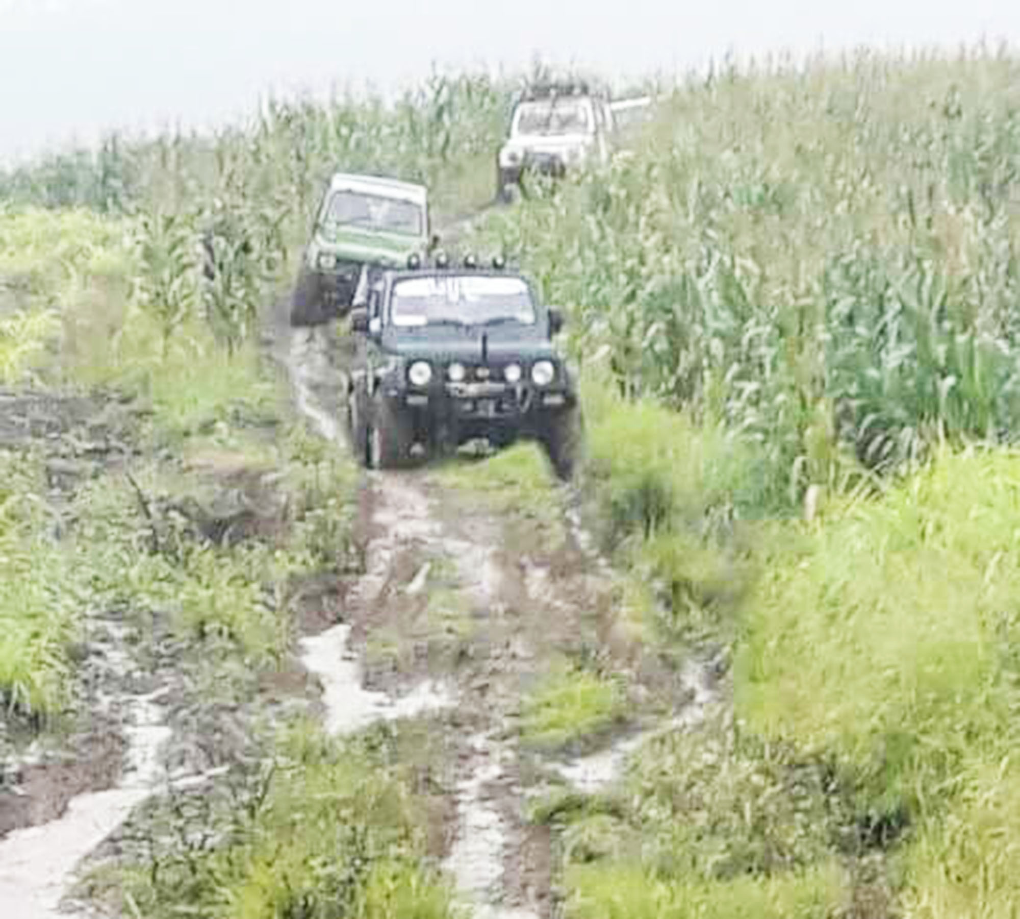 offroad