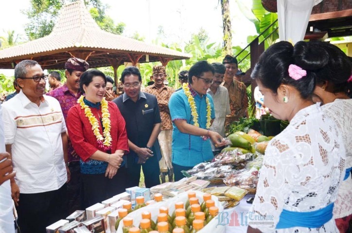 manggis