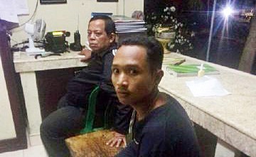persetubuhan