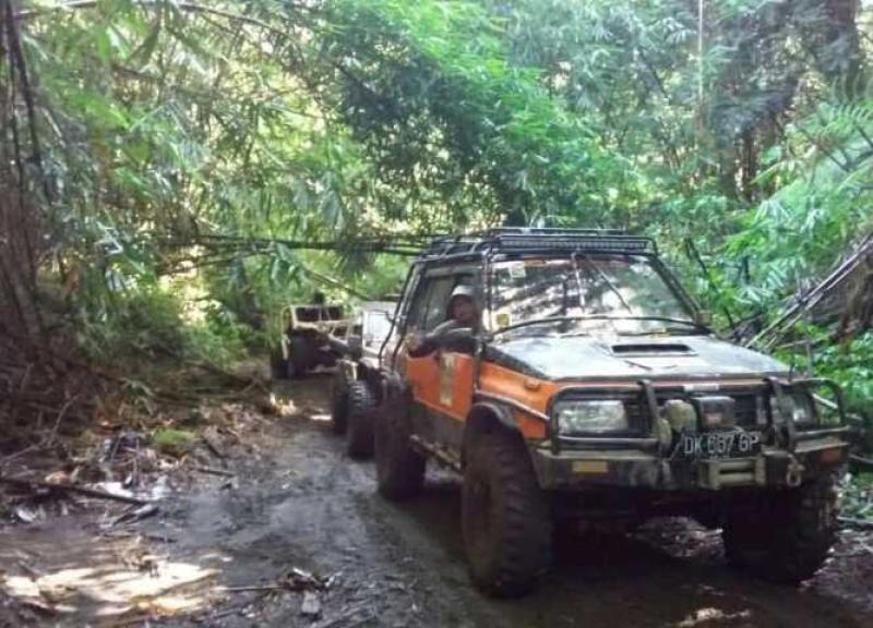 hutan