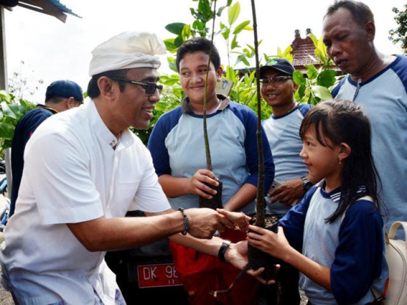 mangrove