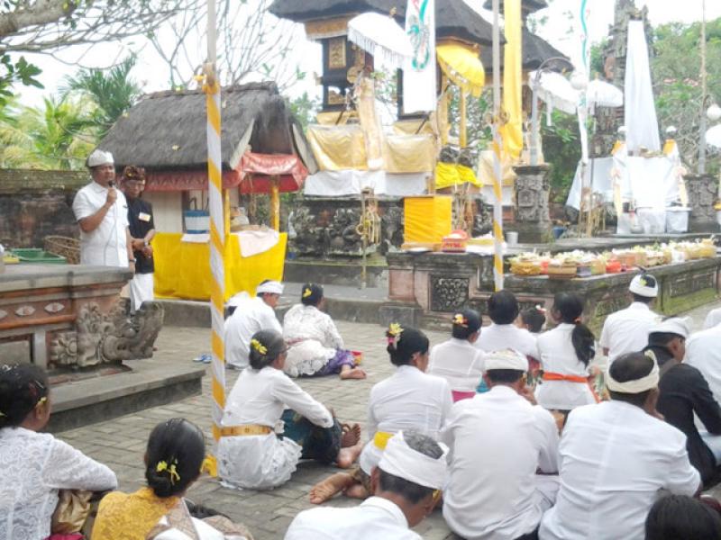 pujawali