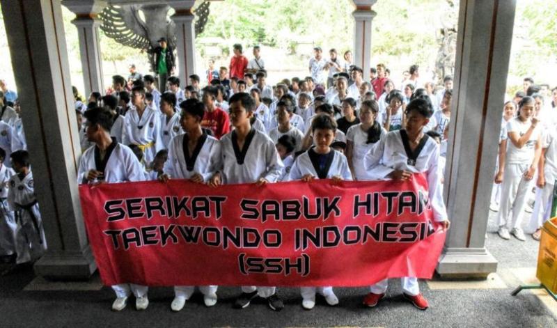 Taekwondo