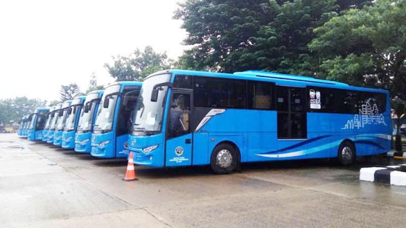 BUS