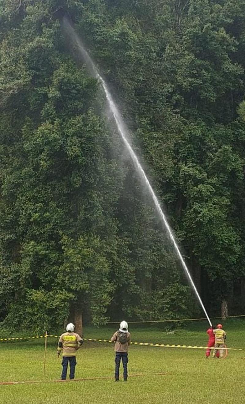 Lebah di Kebun Raya Sengat 20 Pengunjung, Damkar Bertindak