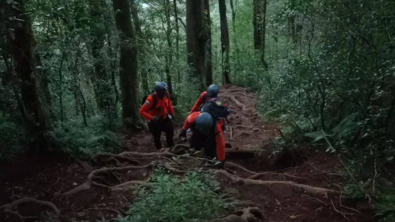 Empat Remaja Tersesat Saat Mendaki Gunung Batukaru