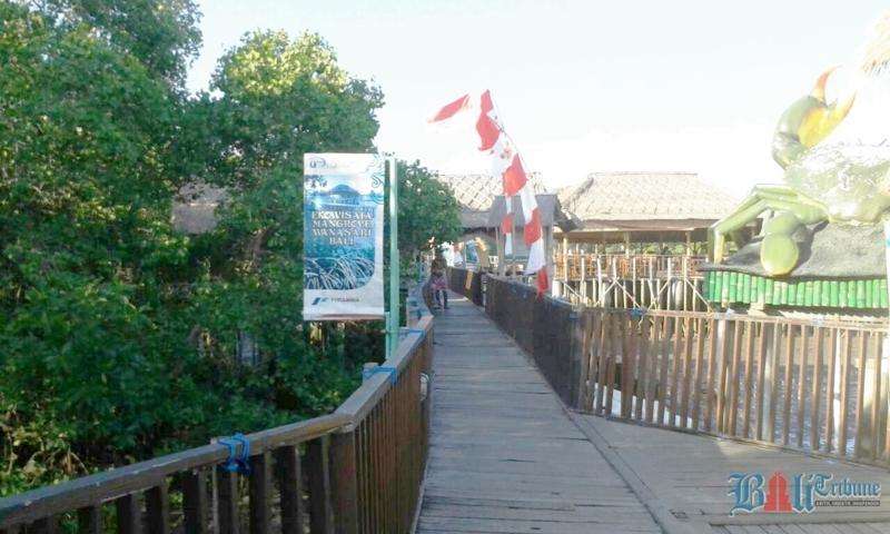 mangrove