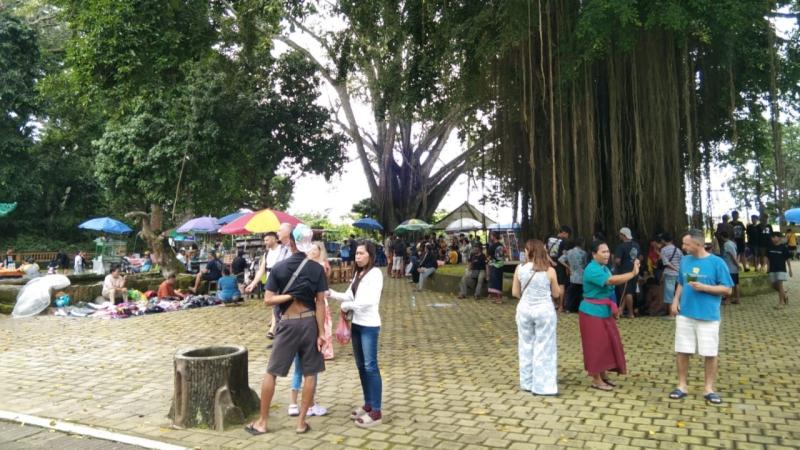 Alas Kedaton “Panen” Turis