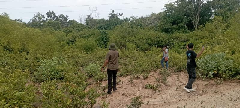 Terciduk Google Maps, Tabir Eksploitasi Hutan di Taman Nasional Bali Barat Terbongkar