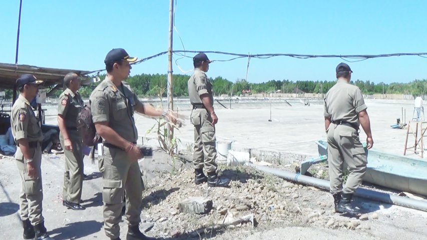 TAMBAK