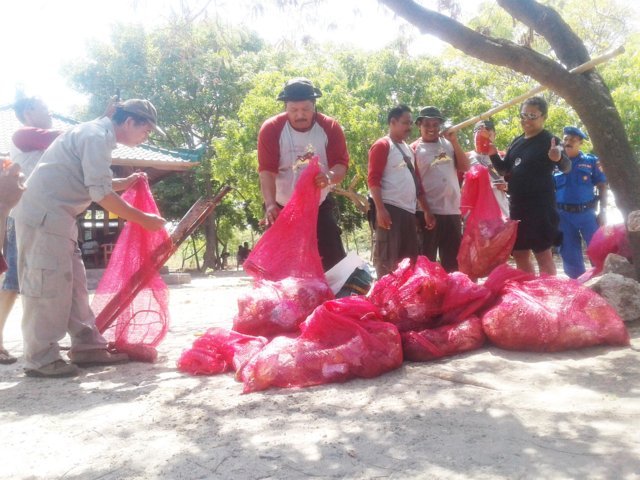 mangrove