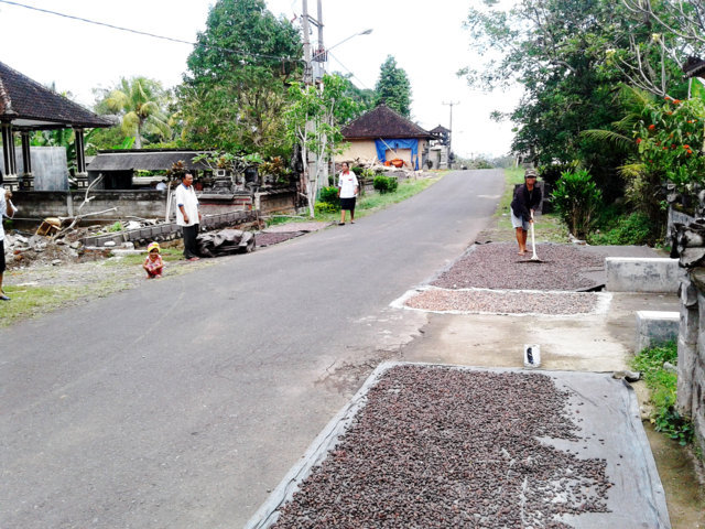 Petani 