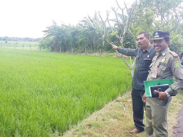 jalur hijau 