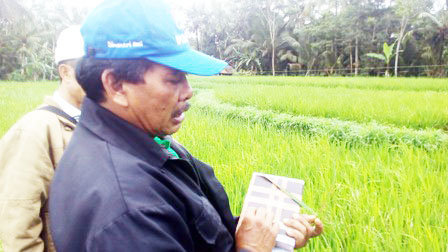 SOSIALISASI 
