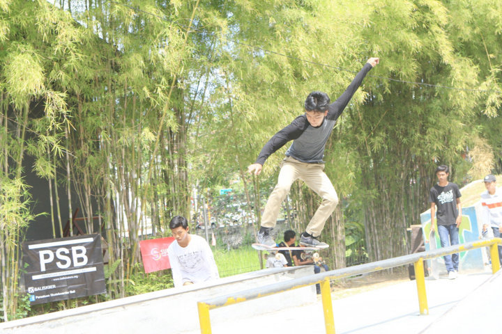 skateboarder 