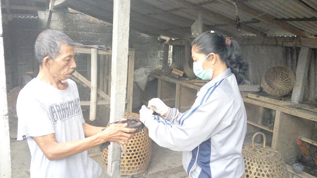 RAFID TEST 