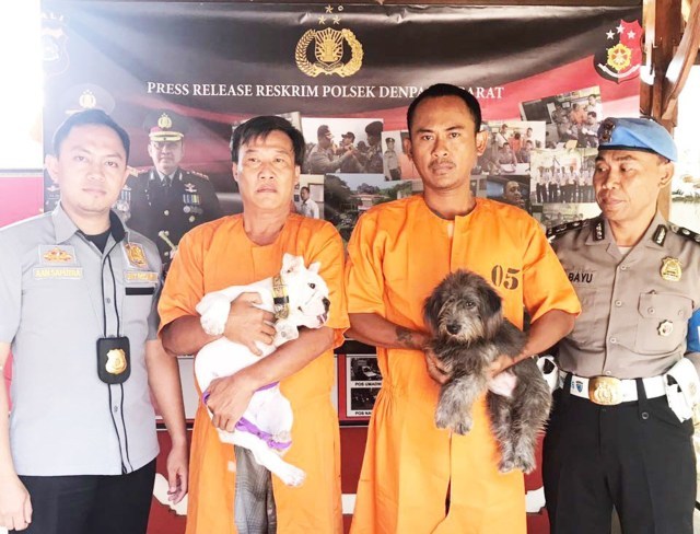anjing
