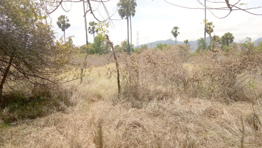 kebakaran