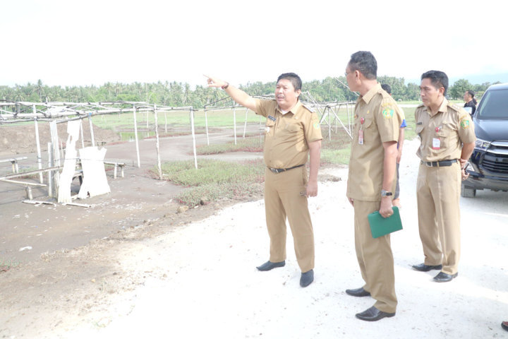 pemantauan 