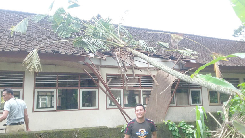 gedung 