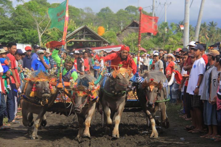 Makepung 