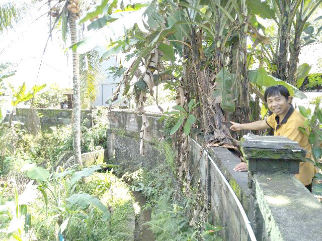 drainase 