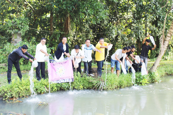 benih ikan 