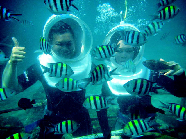 seawalker 