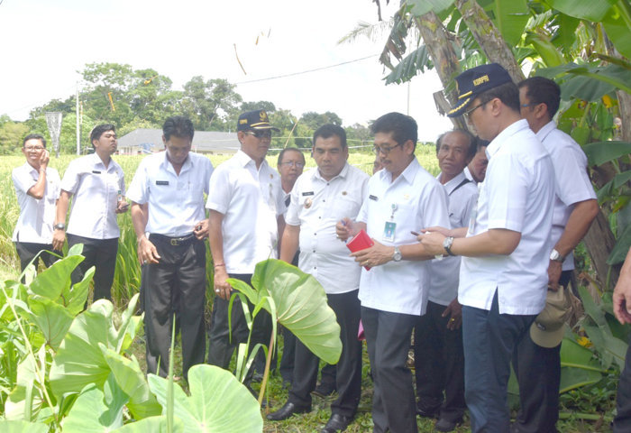 penghubung