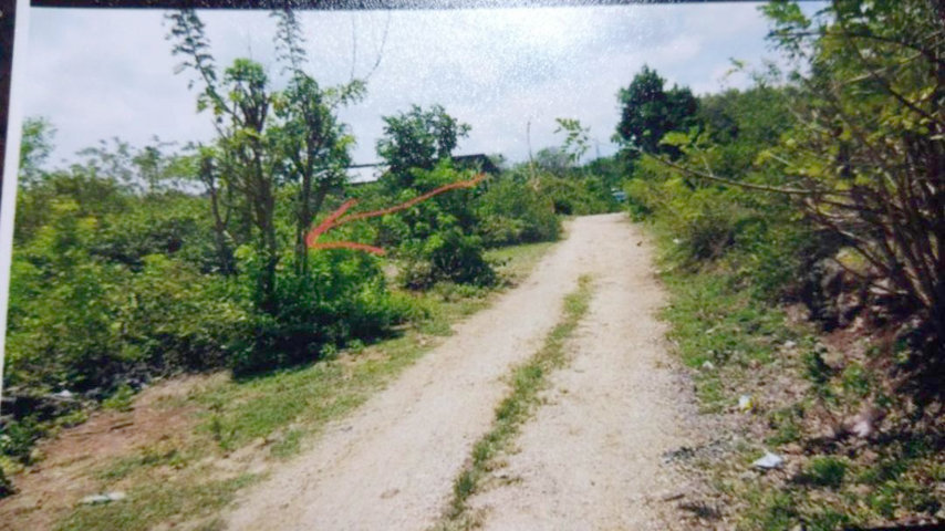 PBB
