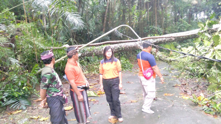 hujan