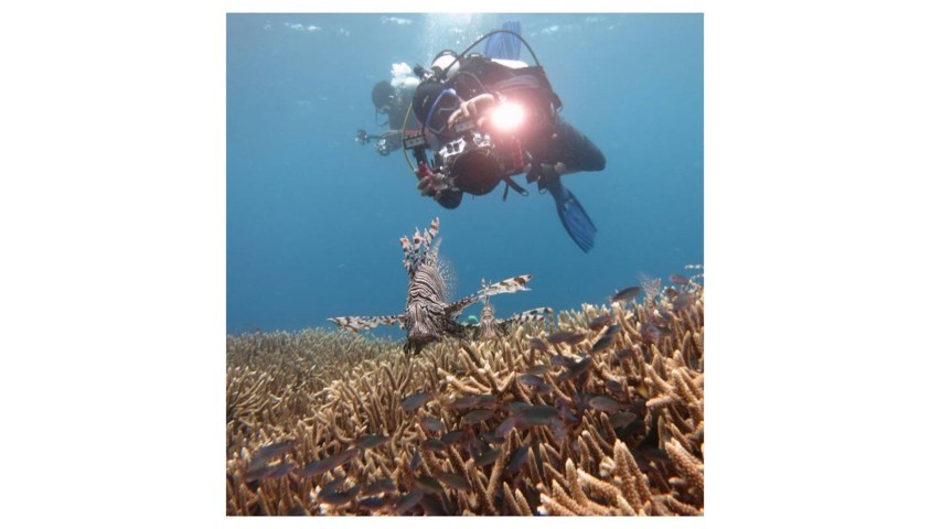 Wakatobi