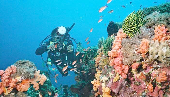 Wisata Bahari