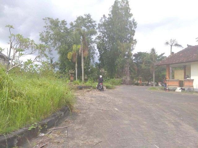 Budaya 