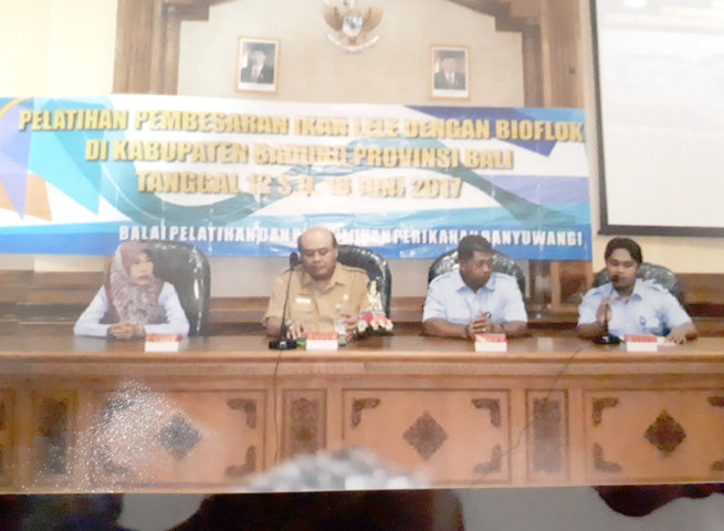 pelatihan 