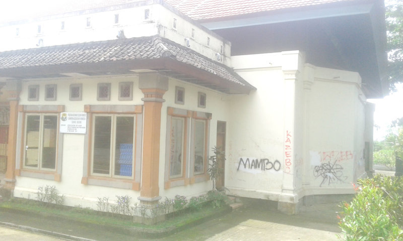 bulu tangkis 