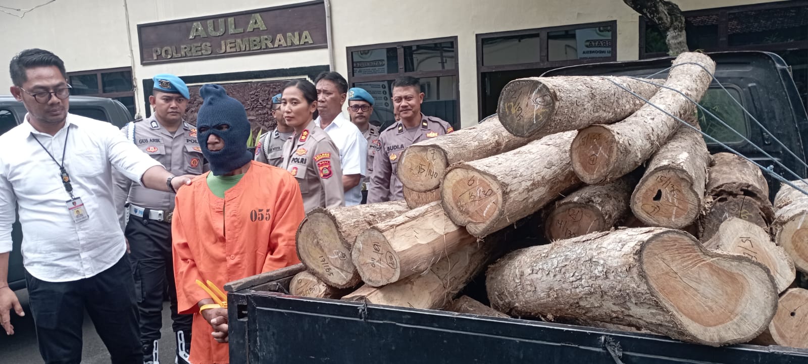 illegal logging