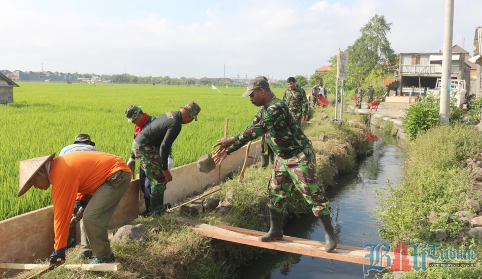 TNI