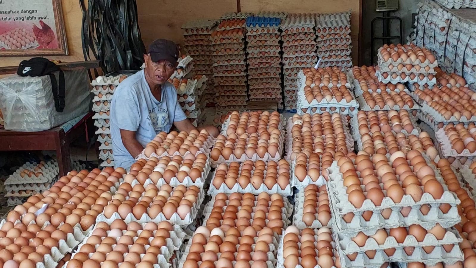 Peternak telur