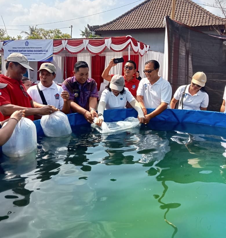 ikan lele