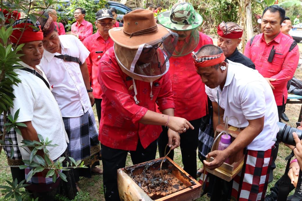 bungan desa