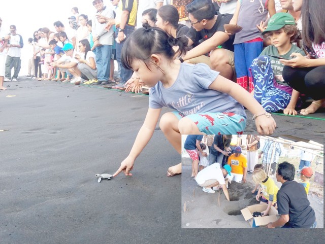 Bali Zoo 
