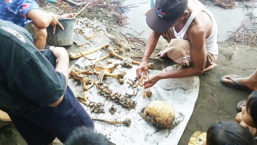 tengkorak