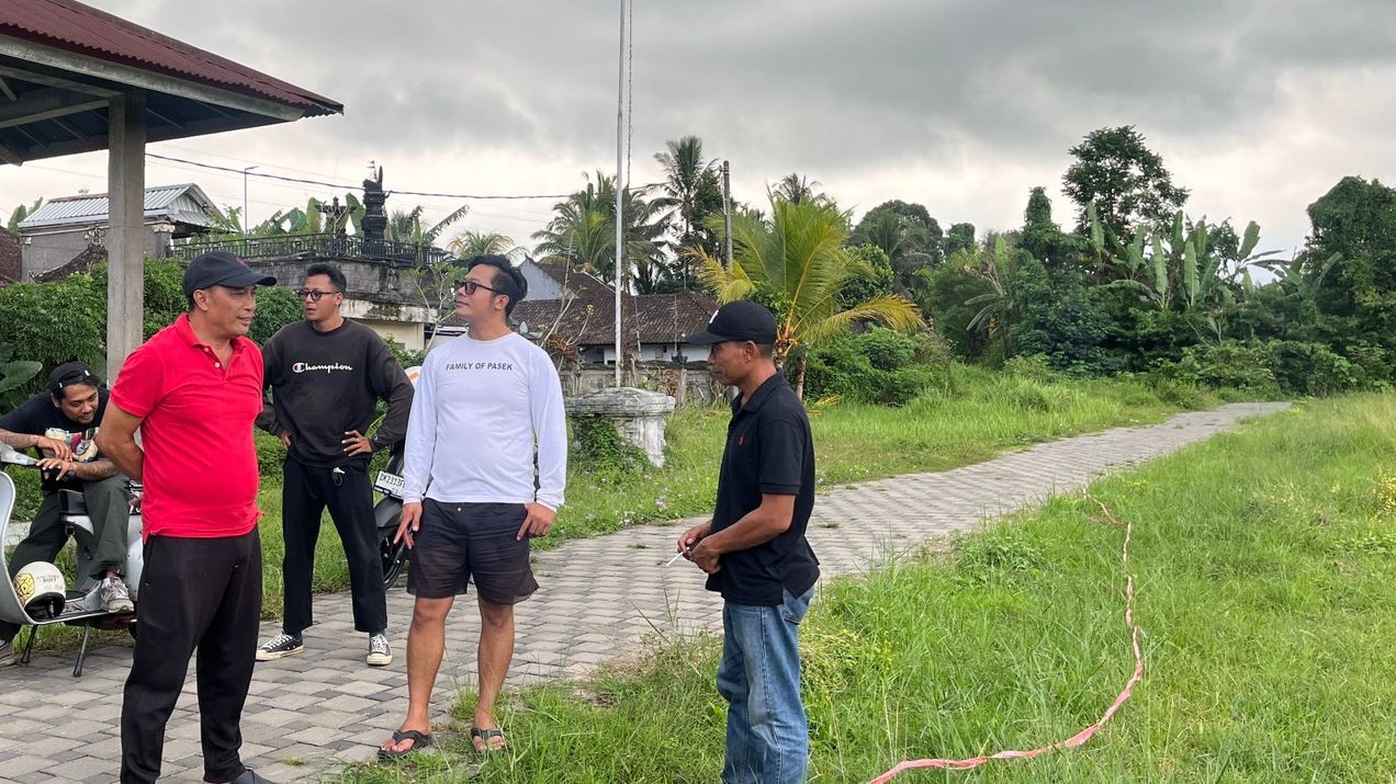 peninjauan 