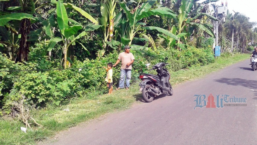 PLN