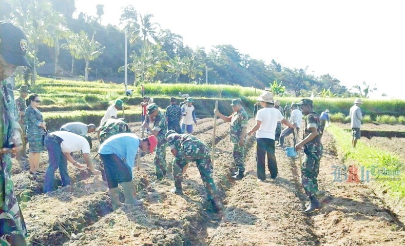 TNI