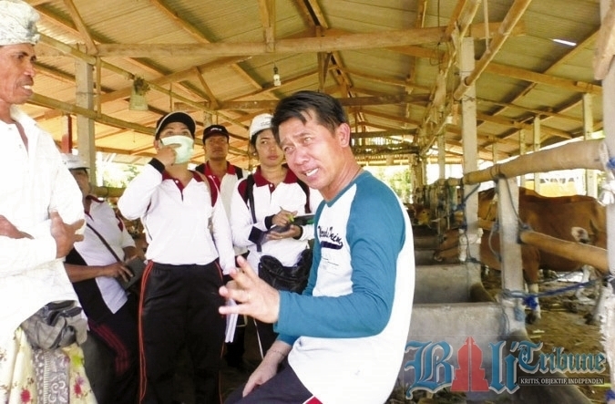 Pupuk